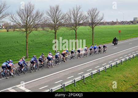 De Panne, Belgien. 23. März 2023. Das Reiterpaket, das während des eintägigen Frauenrennen „Classic Brügge-De Panne“ in Aktion gezeigt wurde, 159, 5 km von Brügge nach De Panne, Donnerstag, 23. März 2023. BELGA PHOTO DIRK WAEM Credit: Belga News Agency/Alamy Live News Stockfoto