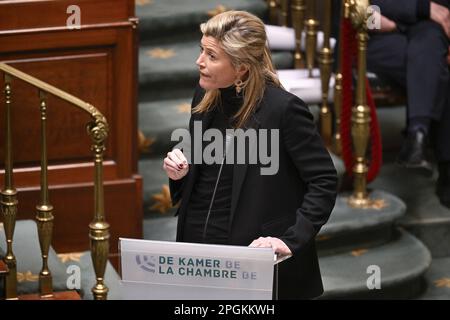 Brüssel, Belgien. 23. März 2023. Innenminister Annelies Verlinden nahm an einer Feier am Denkmal in der Brüsseler Wetstraat/Rue de la Loi zur Erinnerung an die Terroranschläge von 2016 in Brüssel am Mittwoch, den 22. März 2023, Teil. Am 22 2016. März wurden 32 Menschen bei Selbstmordanschlägen auf dem nationalen Flughafen Zaventem und der Metrostation Maalbeek/Maelbeek, die von ISIL beansprucht wurden, getötet und 324 verletzt. BELGA FOTO LAURIE DIEFFEMBACQ Kredit: Belga News Agency/Alamy Live News Stockfoto