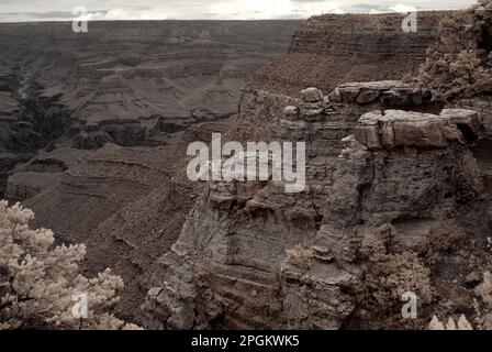 Sepia-Ton am späten Nachmittag im Grand Canyon Arizona Stockfoto