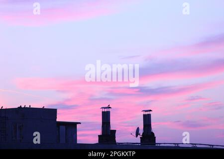 Schornsteine und Vögel auf dem Dach mit Parabelantenne. Der Sonnenuntergang malt einen lila Himmel. Melanokolisches Bild. Inspiration für Wandschmuck und Albumcover. Stockfoto