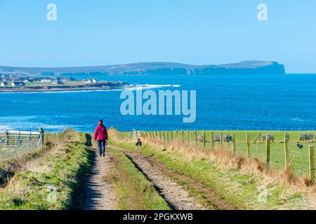 Dunnet Head aus einer Farm verfolgen in der Nähe der Ortschaft Mey auf den Norden von Caithness, Schottland, UK. Stockfoto