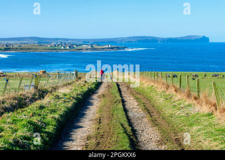 Dunnet Head aus einer Farm verfolgen in der Nähe der Ortschaft Mey auf den Norden von Caithness, Schottland, UK. Stockfoto