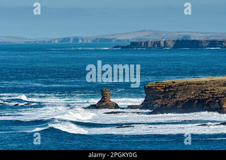 Der Tower o'Men o'Mey Sea Stack in St. John's Point, Caithness, Schottland, Großbritannien. Dahinter liegt die Insel Stroma und dahinter das südliche Ronaldsay Orkney. Stockfoto