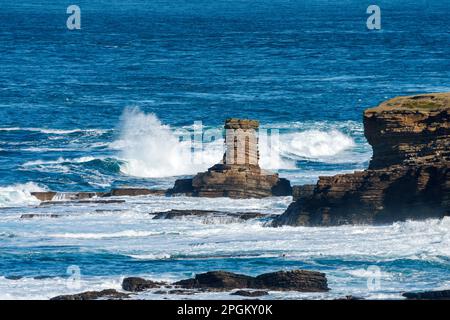 Der Tower o'Men o'Mey Sea Stack in St. John's Point, Caithness, Schottland, Großbritannien. Stockfoto