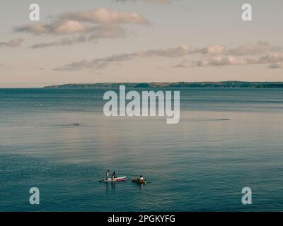 Paddelboarders at Castle Beach, Falmouth, Cornwall, England, Großbritannien, GB. Stockfoto