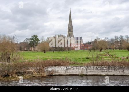 Blick auf die Kathedrale von Salisbury vom Fluss Avon Stockfoto