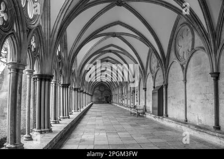 Schwarz-Weiß der Kreuzgänge in der Salisbury Cathedral Wiltshire England Stockfoto