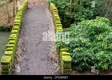 Eine mooslige Brücke über den Ouseburn River in Jesmond Dene, Newcastle upon Tyne, Großbritannien Stockfoto