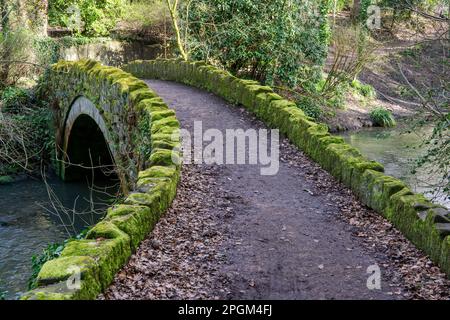 Eine mooslige Brücke über den Ouseburn River in Jesmond Dene, Newcastle upon Tyne, Großbritannien Stockfoto