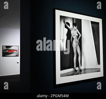 Mailand, Italien. 23. März 2023. Mailand, Italien HELMUT NEWTON LEGACY im Palazzo reale vom 24. März bis 25. Juni 2023 Retrospektive zum hundertsten Geburtstag des Fotografen Berlin, 1920 Los Angeles 2004. Die Kuratoren Dr. Matthias Harder und Denis Curti im Bild: Fotografien im Ausstellungsort ausgestellt. Credit: Independent Photo Agency/Alamy Live News Stockfoto