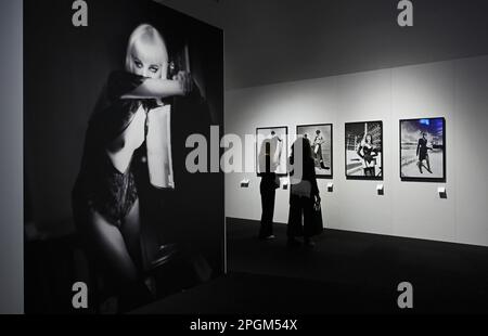Mailand, Italien. 23. März 2023. Mailand, Italien HELMUT NEWTON LEGACY im Palazzo reale vom 24. März bis 25. Juni 2023 Retrospektive zum hundertsten Geburtstag des Fotografen Berlin, 1920 Los Angeles 2004. Die Kuratoren Dr. Matthias Harder und Denis Curti im Bild: Fotografien im Ausstellungsort ausgestellt. Credit: Independent Photo Agency/Alamy Live News Stockfoto