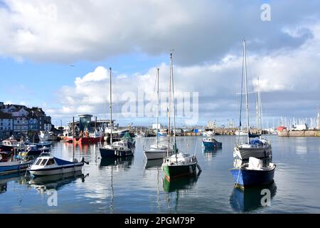 Brixham Hafen in Devon UK Stockfoto