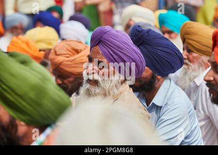 Amritsar, Punjab, Indien - Diwali 2019 - ein lächelnder Sikh-Mann, der neben anderen Männern auf dem Boden sitzt und eine musikalische Aufführung genießt Stockfoto