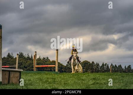 Ein junges Mädchen reitet auf einem Pferd über springende Zäune. 41. Uhr Johnstown Coolgreany Gymkhana & Field Day 2022. Co. Wexford. Irland Stockfoto