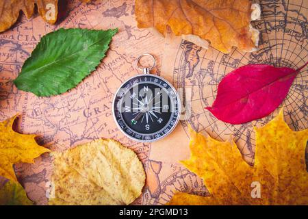 Reisekompass auf der Karte in hellen bunten Herbstblättern. Navigation im Herbst.. Stockfoto