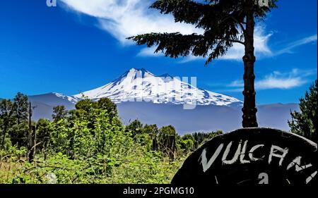 Touristenaussichtspunkt auf dem Vulkan Llaima, grüner Wald - Conguillio NP, Chile Stockfoto