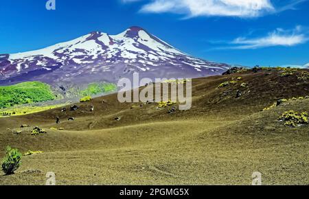 Sierra Nevada Wanderweg durch Lavahügel zum Vulkan Llaima - Conguillio NP, Chile Stockfoto