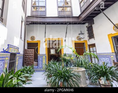 Wunderschöne andalusische Terrasse im Viertel Santa Cruz, Sevilla, Andalusien, Spanien Stockfoto