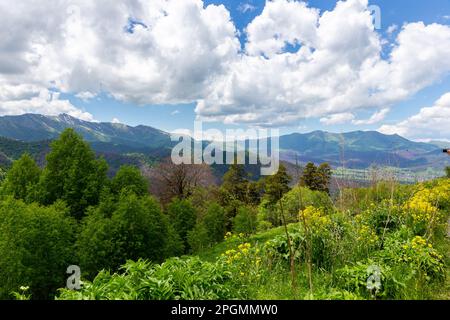 Landschaft des Trialeti (Kaukasus) Gebirgszugs von der M-20 Straße zum Tskhratskaro Pass, üppig grüne Berge und Grasland, Georgia. Stockfoto