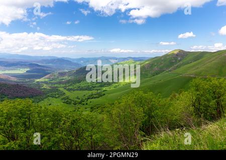 Landschaft des Trialeti (Kaukasus) Gebirges von der M-20 Straße zum Tskhratskaro Pass, üppig grüne Berge und Grasland, Bakuriani Ski Resort. Stockfoto