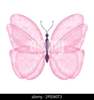 Aquarellrosa Schmetterling, isolierte Illustration. Handbemalte Insekten im botanischen Stil auf weißem Hintergrund zur Verwendung bei Hochzeit, Urlaub, Kinderdesign Stockfoto