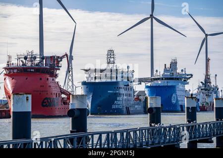 Offshore-Schiffe, Buss Terminal Eemshaven, Logistikzentrum für die Offshore-Windparks, von hier aus sind neue Windparks in der Nordsee Su Stockfoto