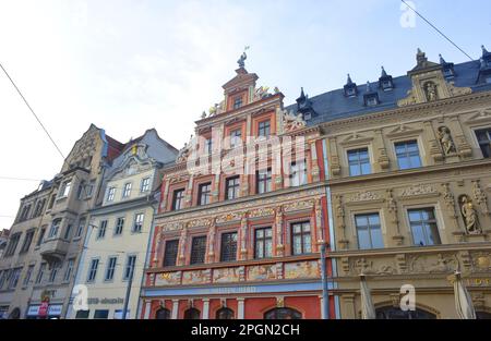 Erfurt, Deutschland, traditionelle Gebäude am alten Fischmarkt Stockfoto