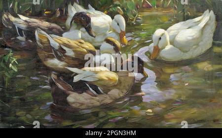 Koester Alexander - fünf Enten im Teich - Deutsche Schule - 19. Und Anfang des 20. Jahrhunderts - Koester Alexander - fünf Enten im Teich - Deutsche Schule - 19. Und Anfang des 20. Jahrhunderts Stockfoto