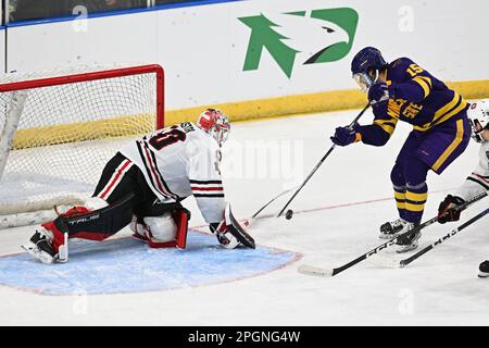 Fargo, ND, 23. März 2023. Adam Eisele (15) schießt auf St. Cloud State Huskies Torwart Jaxon Castor (40) bei einem Spiel im West Regional des NCAA-Hockeyturniers für Männer zwischen den Minnesota State Mankato Mavericks und St. Cloud State University Huskies in der Scheels Arena in Fargo, ND, am Donnerstag, den 23. März 2023. Von Russell Hons/CSM Stockfoto