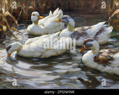 Koester Alexander - Enten im Teich 3 - Deutsche Schule - 19. Und 20. Jahrhundert - Koester Alexander - Enten im Teich 3 - Deutsche Schule - 19. Und 20. Jahrhundert Stockfoto