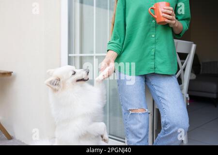 Frau, die vor dem Haus mit dem Hund Hand schüttelt Stockfoto