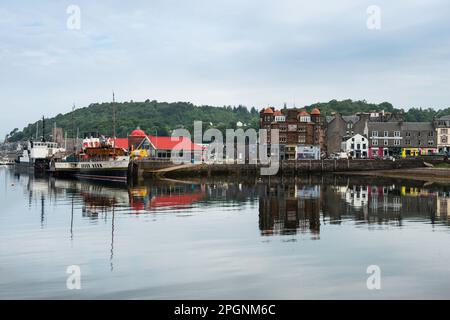 Argyll Schottland. Seefahrtschiff-Dampfer Waverley im Hafen von Oban mit Stadt und Fischerbooten Stockfoto