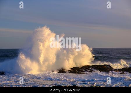 Südafrika, Ostkap, Wellen des Storms River Stockfoto