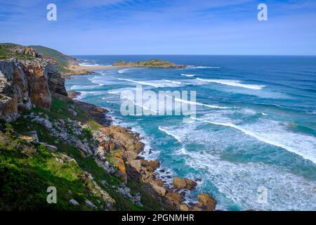 Südafrika, Ostkap, Plettenberg Bay im Naturschutzgebiet Robberg Stockfoto