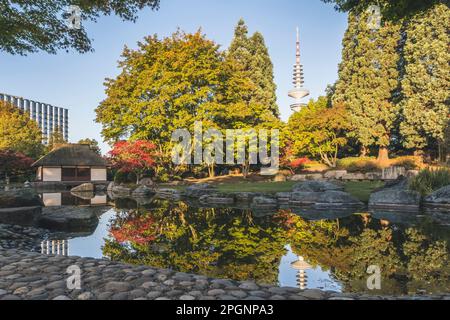 Deutschland, Hamburg, japanischer Garten im Planten un Blomen Park mit Heinrich Hertz Tower im Hintergrund sichtbar Stockfoto