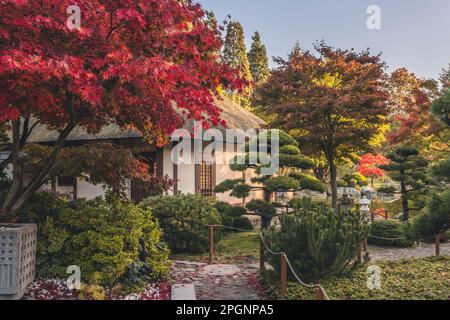 Deutschland, Hamburg, japanisches Teehaus im Park Planten un Blomen Stockfoto