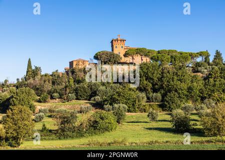 Italien, Toskana, Pienza, grüne Bäume rund um das Weingut Palazzo Massaini im Sommer Stockfoto