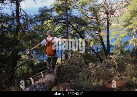 Wanderer mit ausgestreckten Armen balanciert auf Baumstamm Stockfoto