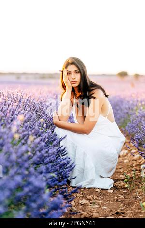 Eine Frau, die sich bei Sonnenuntergang vor Lavendelpflanzen auf dem Feld duckt Stockfoto