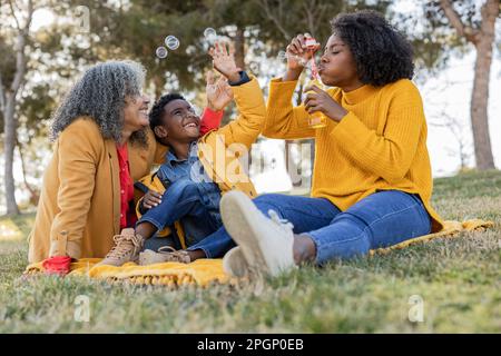 Eine Familie, die mehrere Generationen gemeinsam im Park Spaß hat Stockfoto