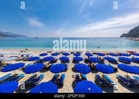 Italien, Ligurien, Monterosso al Mare, Reihen von Liegestühlen und Sonnenschirmen am Sandstrand entlang der Cinque Terre Stockfoto