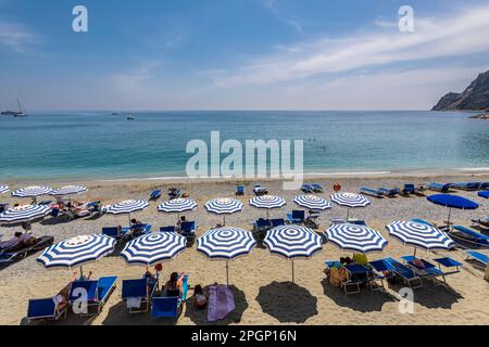 Italien, Ligurien, Monterosso al Mare, Reihen von Liegestühlen und Sonnenschirmen am Sandstrand entlang der Cinque Terre Stockfoto