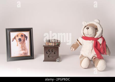 Urne mit Welpenmotiv, einer bunten Leine, daneben ein Foto des Welpen und eines Teddybären. Weißer Hintergrund Stockfoto