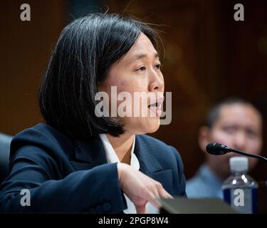 Washington, Usa. 23. März 2023. Katherine Tai, Handelsbeauftragte der Vereinigten Staaten, spricht in den USA Capitol bei einer Anhörung des Finanzkomitees des Senats. Kredit: SOPA Images Limited/Alamy Live News Stockfoto