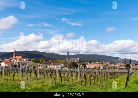 Blick auf das Dorf Birkweiler, Deutsche oder südliche Weinstraße, Südpfalz, Pfalz, Rheinland-Pfalz, Deutschland Stockfoto