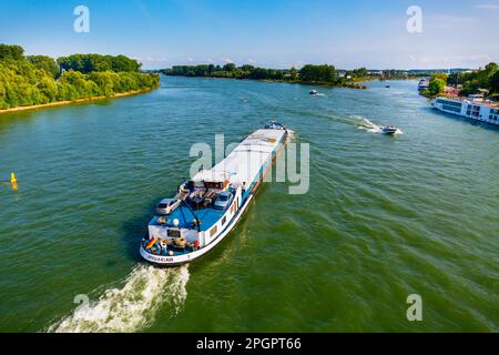 Speyer, Deutschland - 21. August 2021: Transport von Gütern auf dem Rhein, Fähre, Kreuzfahrtschiff und Boote Stockfoto