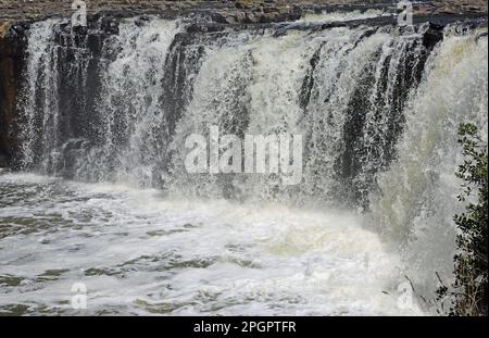 Haruru Falls - Neuseeland Stockfoto