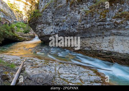 Johnston Canyon mit langer Sicht auf den Bow River in der Nähe von Lower Falls, Banff National Park, Alberta, Kanada. Stockfoto