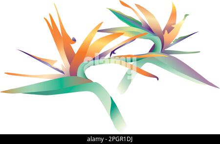 Zwei (2) Paradiesblumen – Adobe Illustrator 6,0-Datei – jede Blume ist vollständig gerendert und kann einzeln oder als Teil einer anderen Datei verwendet werden. Stock Vektor