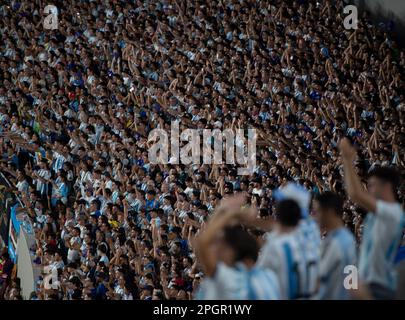 Buenos Aires, Argentinien. 23. März 2023. Fußball: Internationale Spiele, Argentinien - Panama, Estadio Monumental. Fans jubeln die argentinische Nationalmannschaft an. Kredit: Florencia Martin/dpa/Alamy Live News Stockfoto